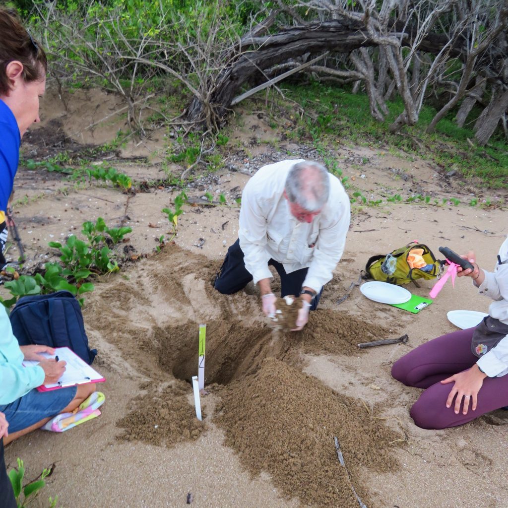 Avoid Island nest excavations