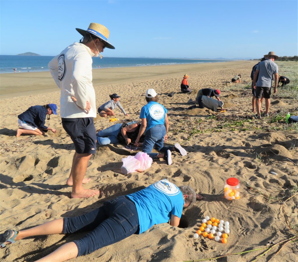 Training in nest excavations